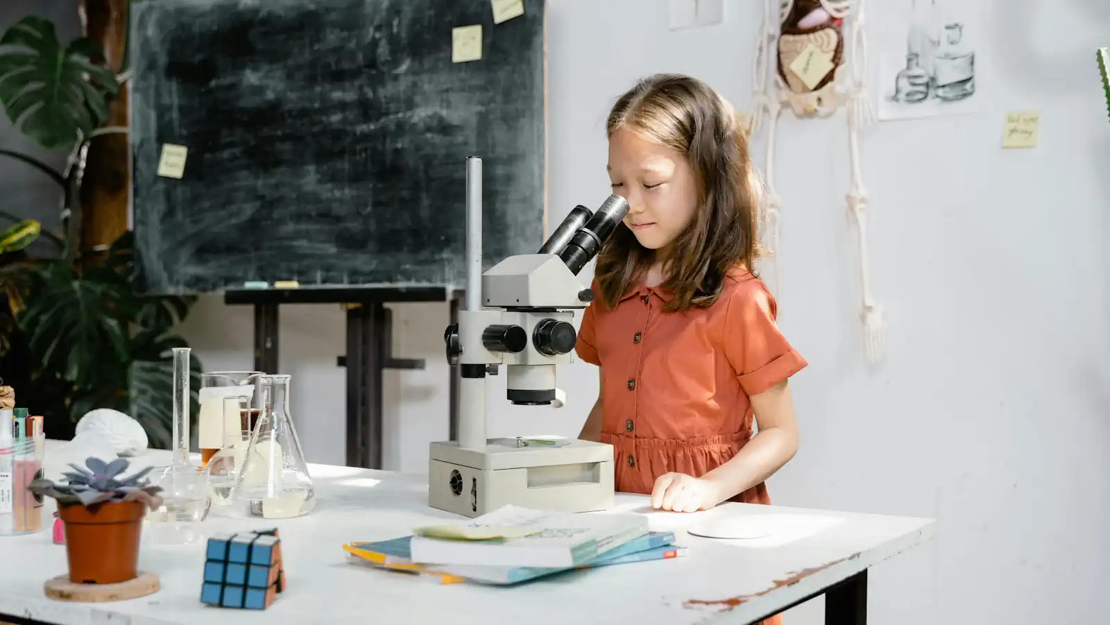 Everyday Science