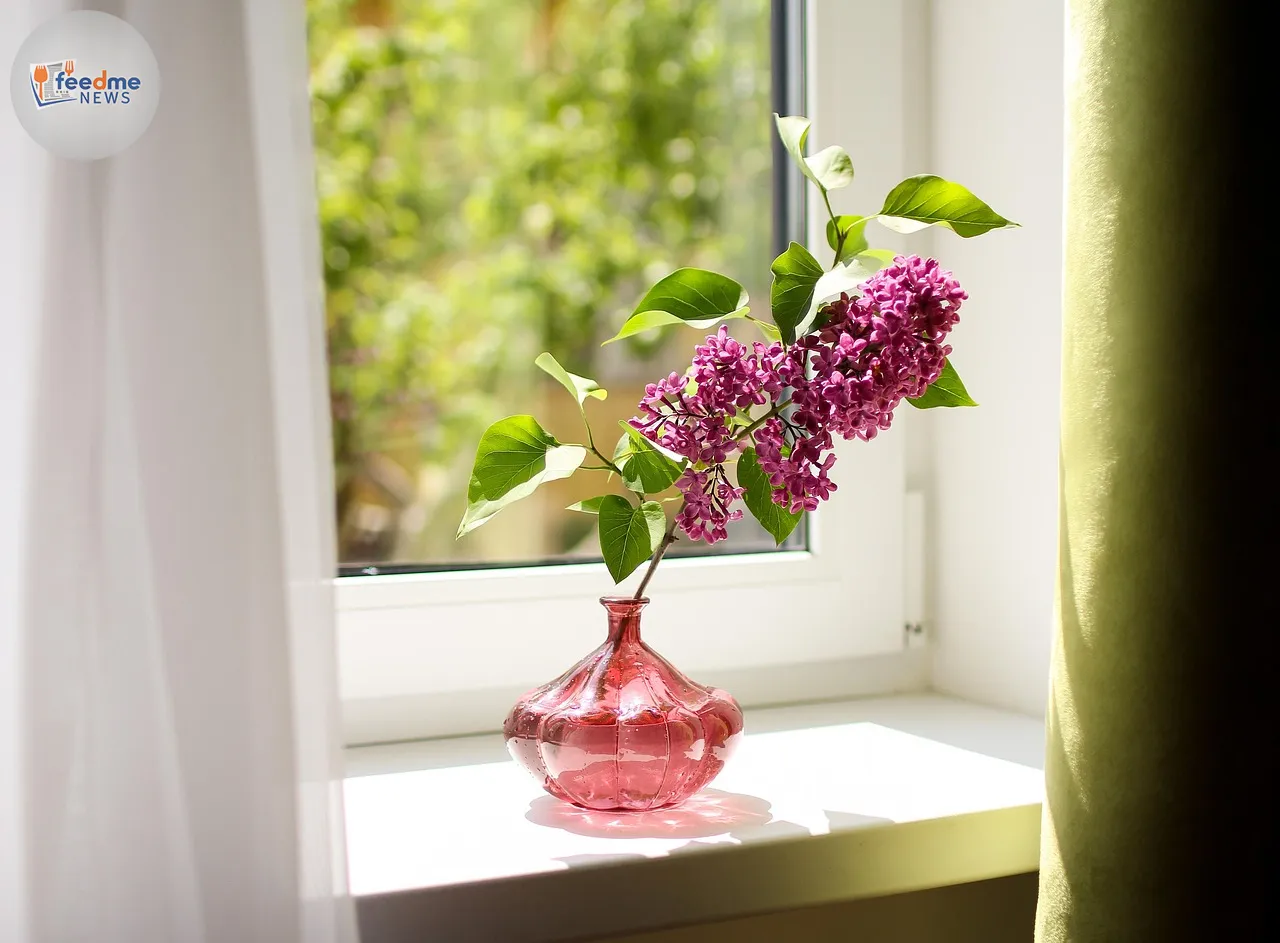 Stacey Solomon's Clever Windowsill Makeover: A Budget-Friendly DIY Hack