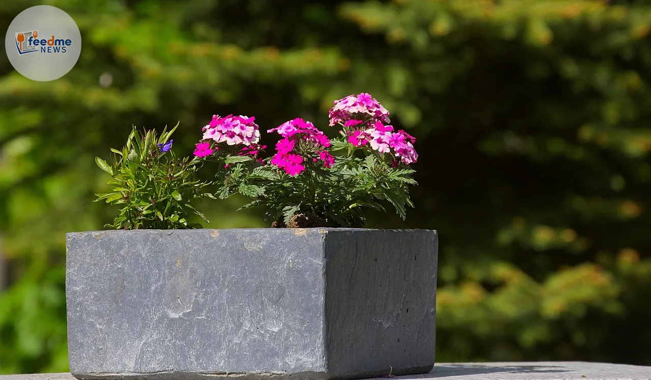 Corten Steel Planters Surge in Popularity as Garden Trend Dominates Pinterest