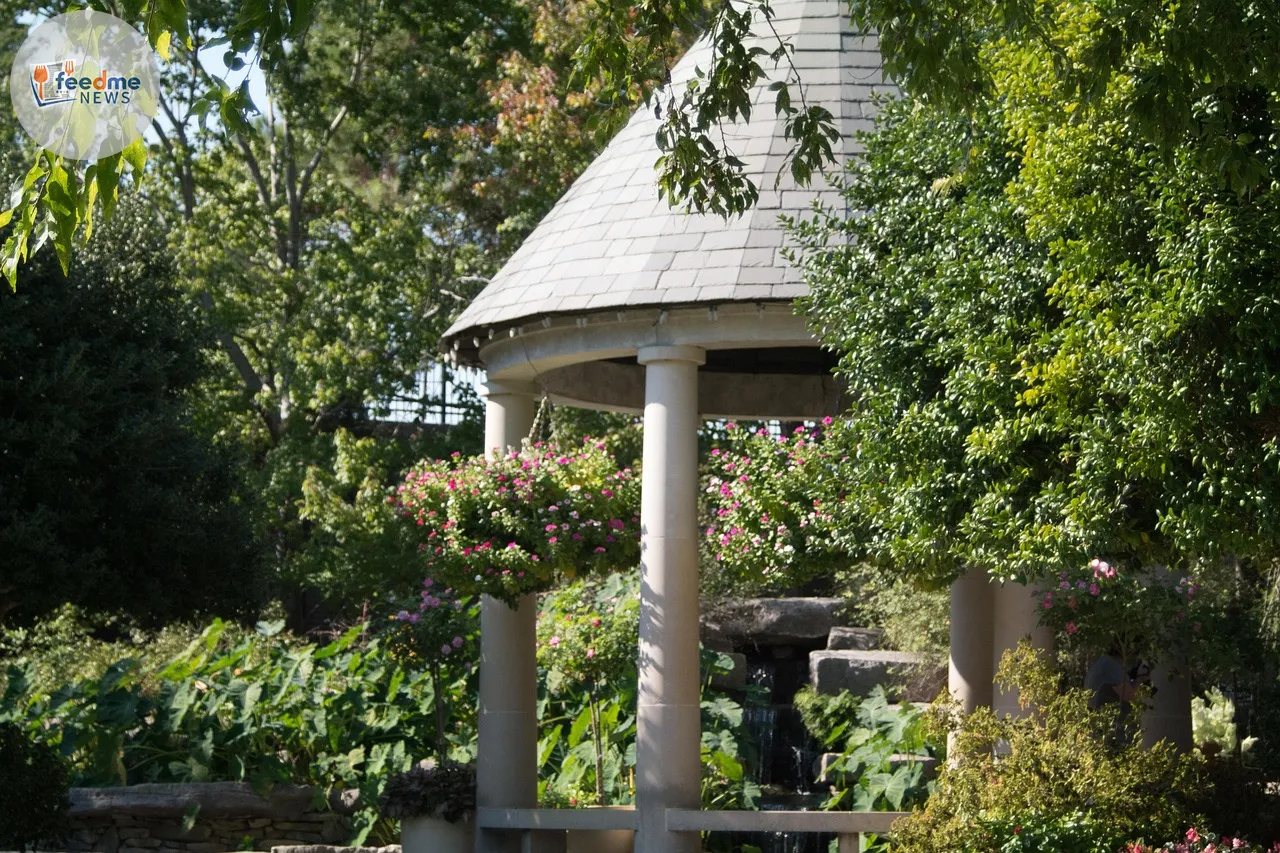 Innovative Landscaping: 25 Easy Ideas for a Low-Maintenance Garden