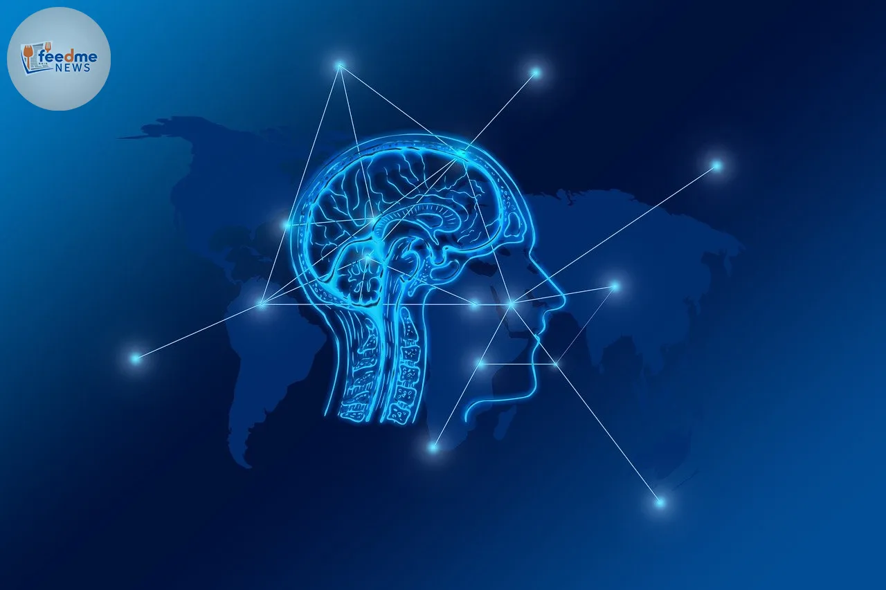 Unveiling the Brain's Mysteries: How We Process Written Texts
