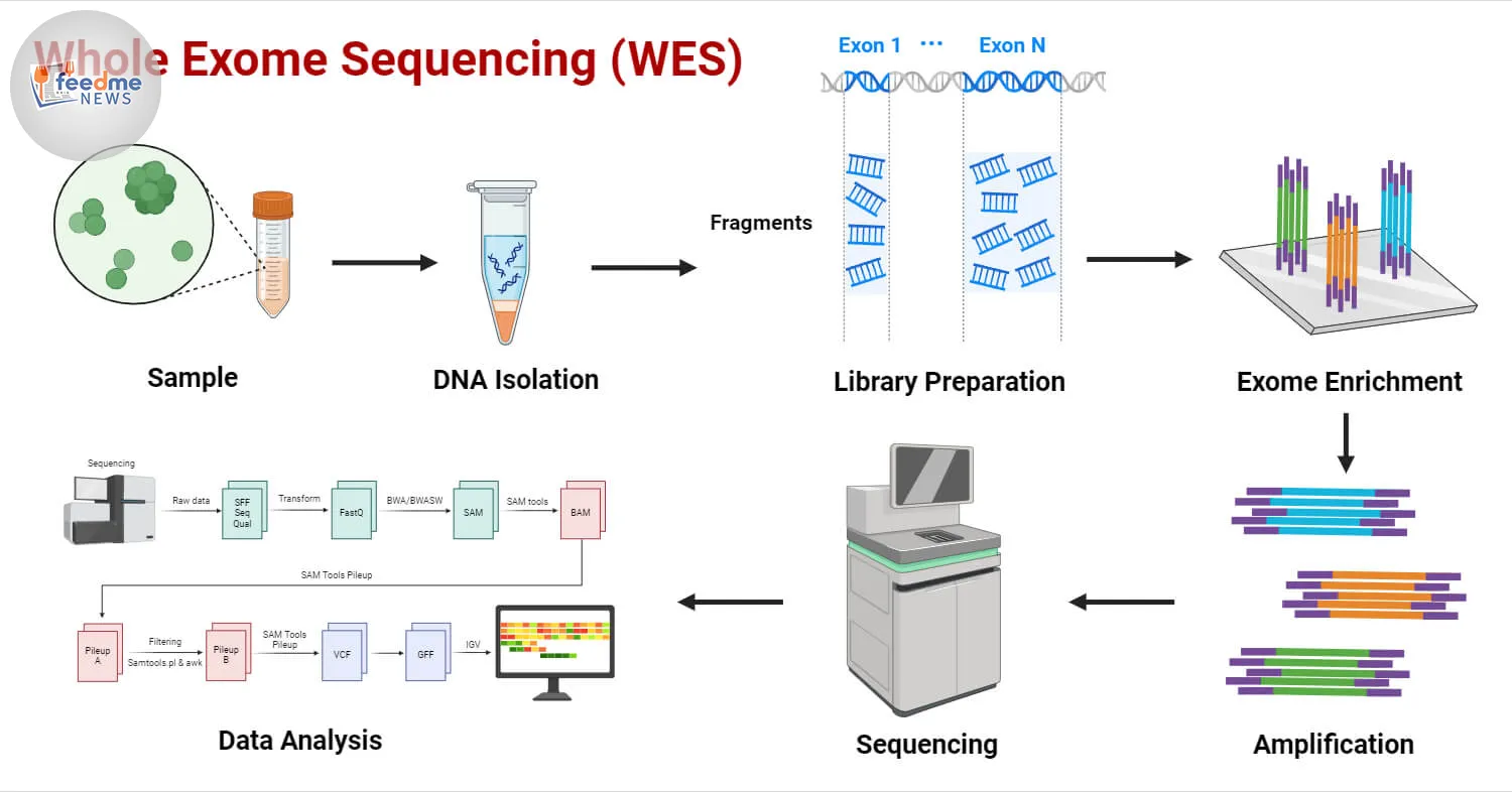 Breakthrough Study Uncovers New Genetic Links to Systemic Sclerosis