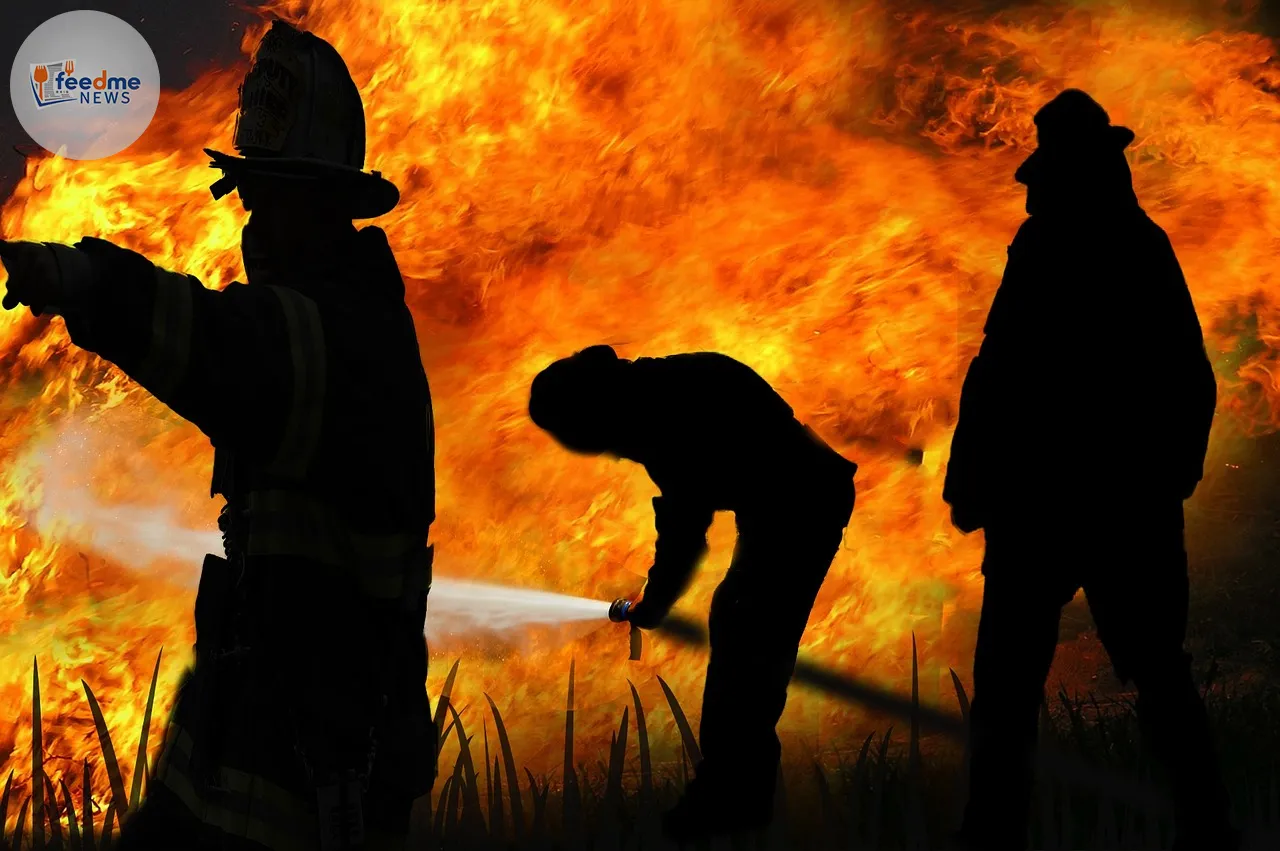 Idaho Sniper Attack: Firefighters Ambushed Amidst Mountain Blaze