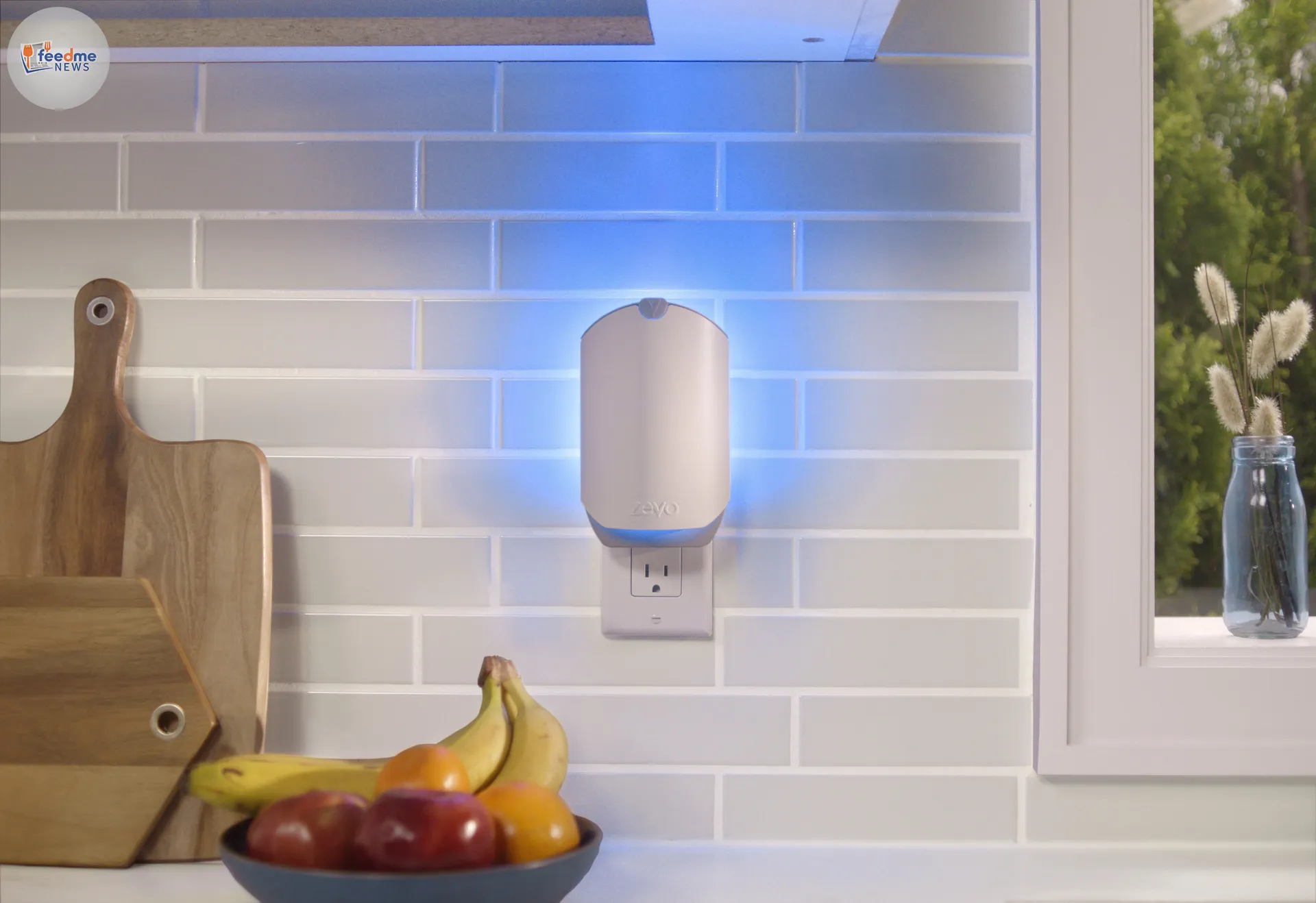 Innovative Insect Trap Doubles Bug Capture Rates in Homes