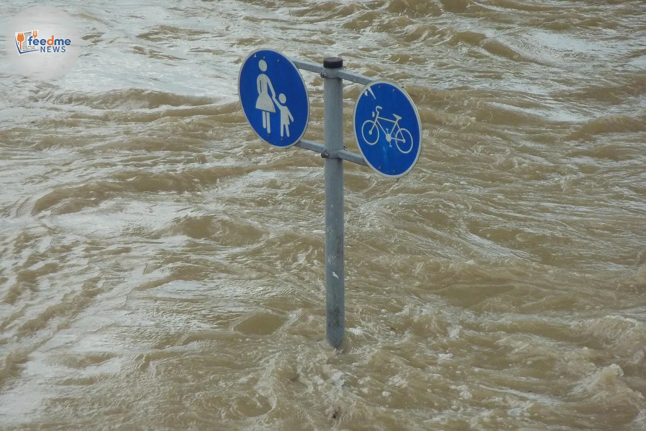 Texas Floods: Recovery Efforts Intensify as Death Toll Rises