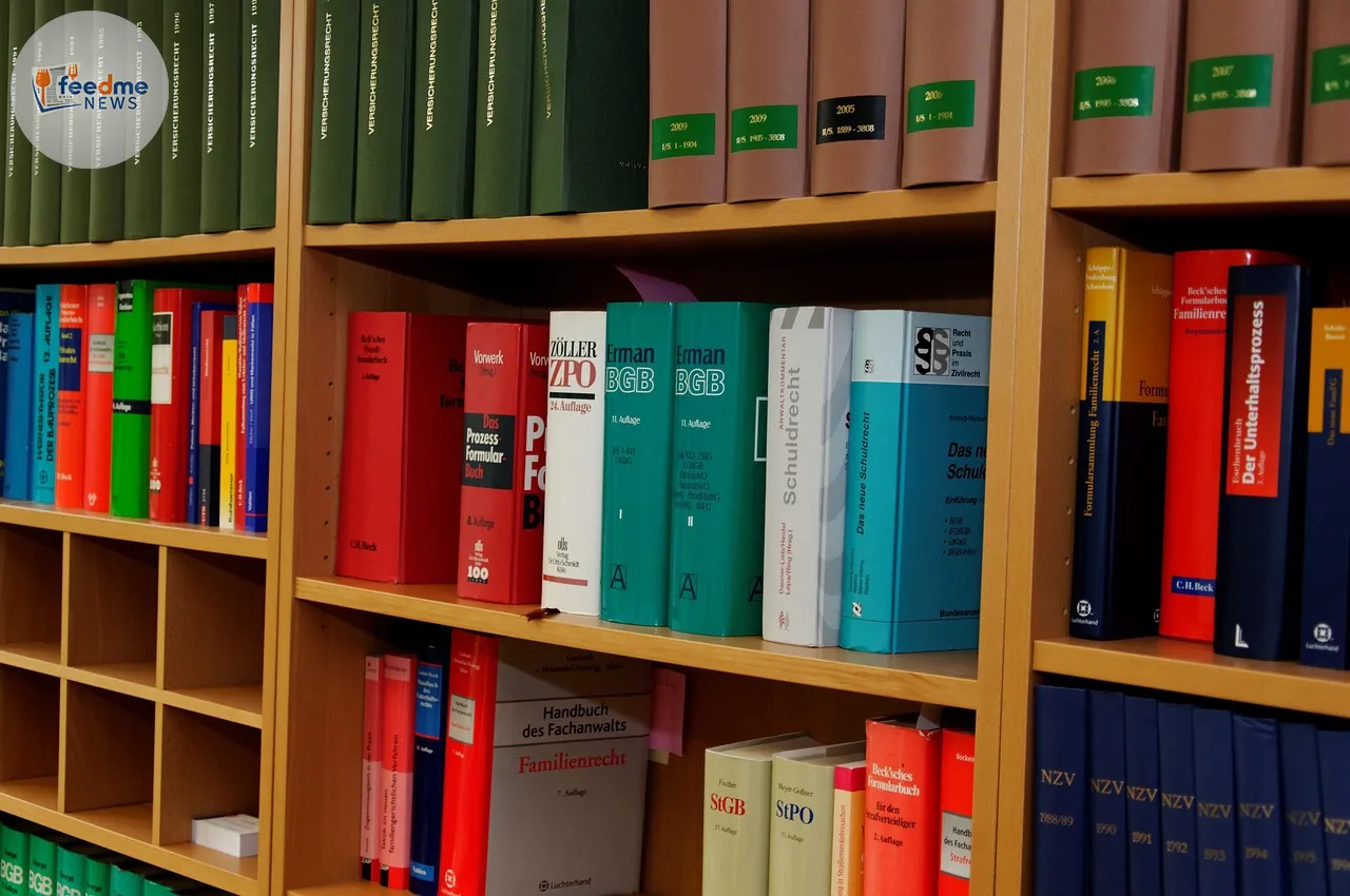 bookcase, chancellery, attorney, law books, order, paragraphs, law, paragraph forest