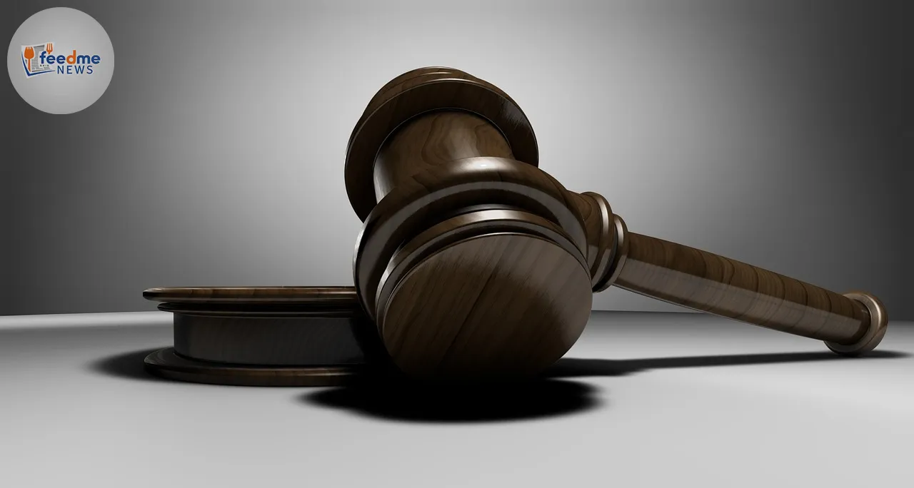 judge, hammer, auction hammer, auction, verdict, law, dish, criminal law