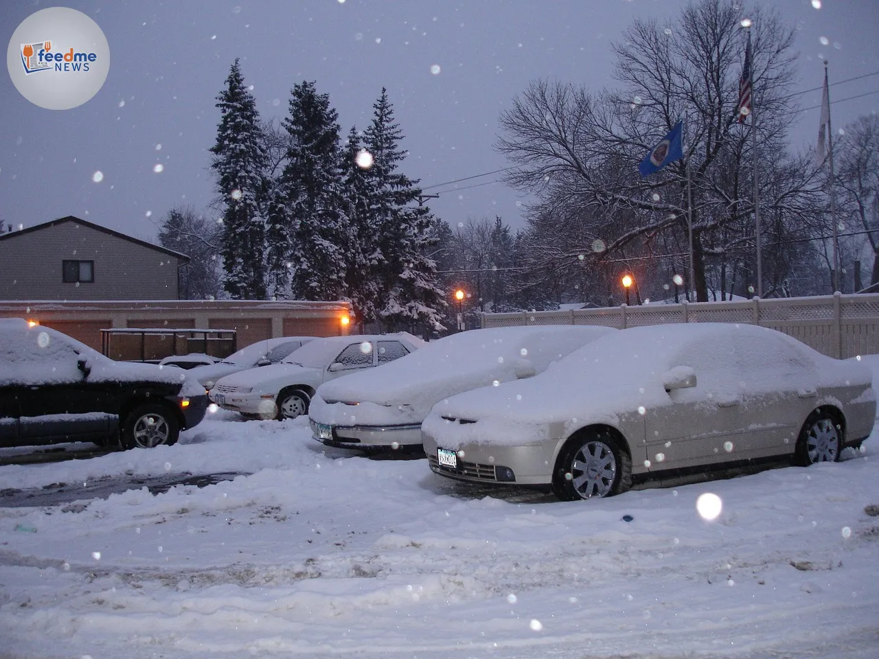 winter, cars, parking, snow, covered, snowy, frozen, nature